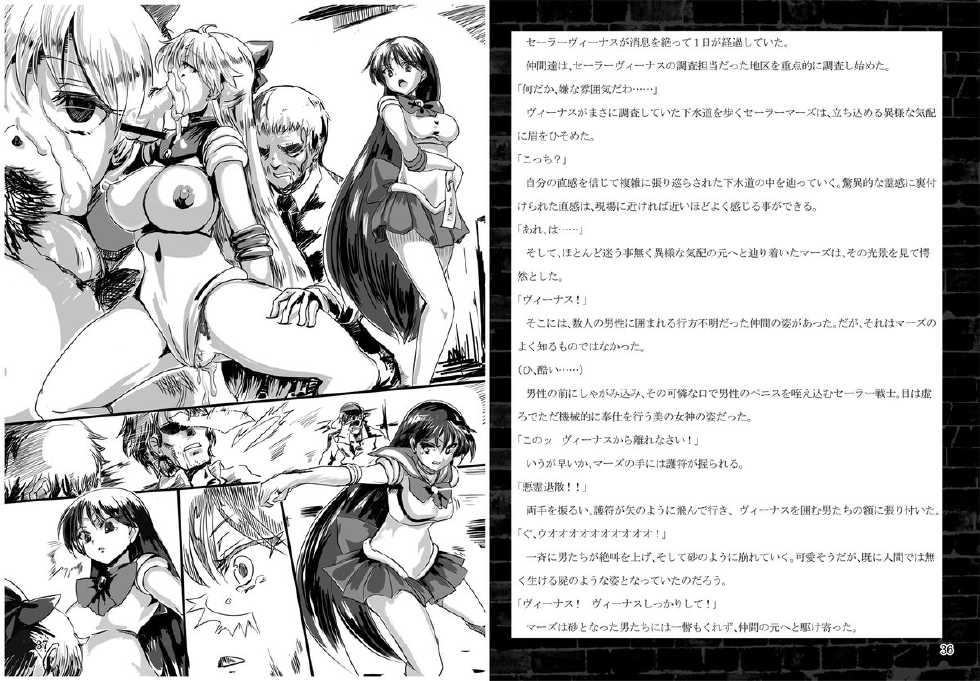 [Daraku Jiko Chousa Iinkai (Sch-mit)] Kasei to Kinsei no Nare no Hate (Bishoujo Senshi Sailor Moon) [Digital] - Page 19