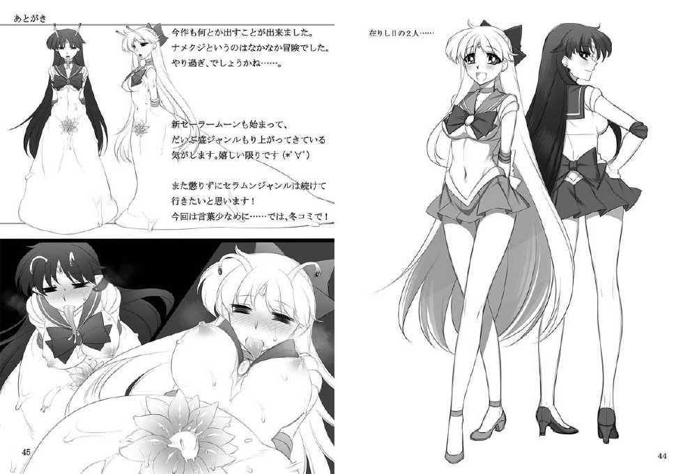 [Daraku Jiko Chousa Iinkai (Sch-mit)] Kasei to Kinsei no Nare no Hate (Bishoujo Senshi Sailor Moon) [Digital] - Page 23