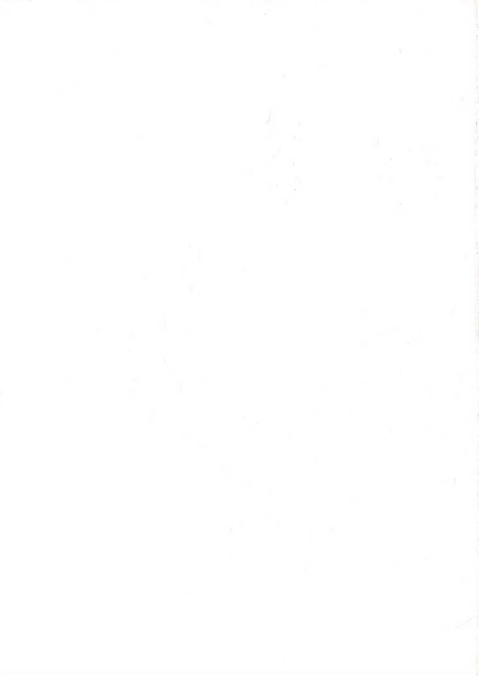 [ALPS (Various)] FORT ALPS (Various) - Page 20