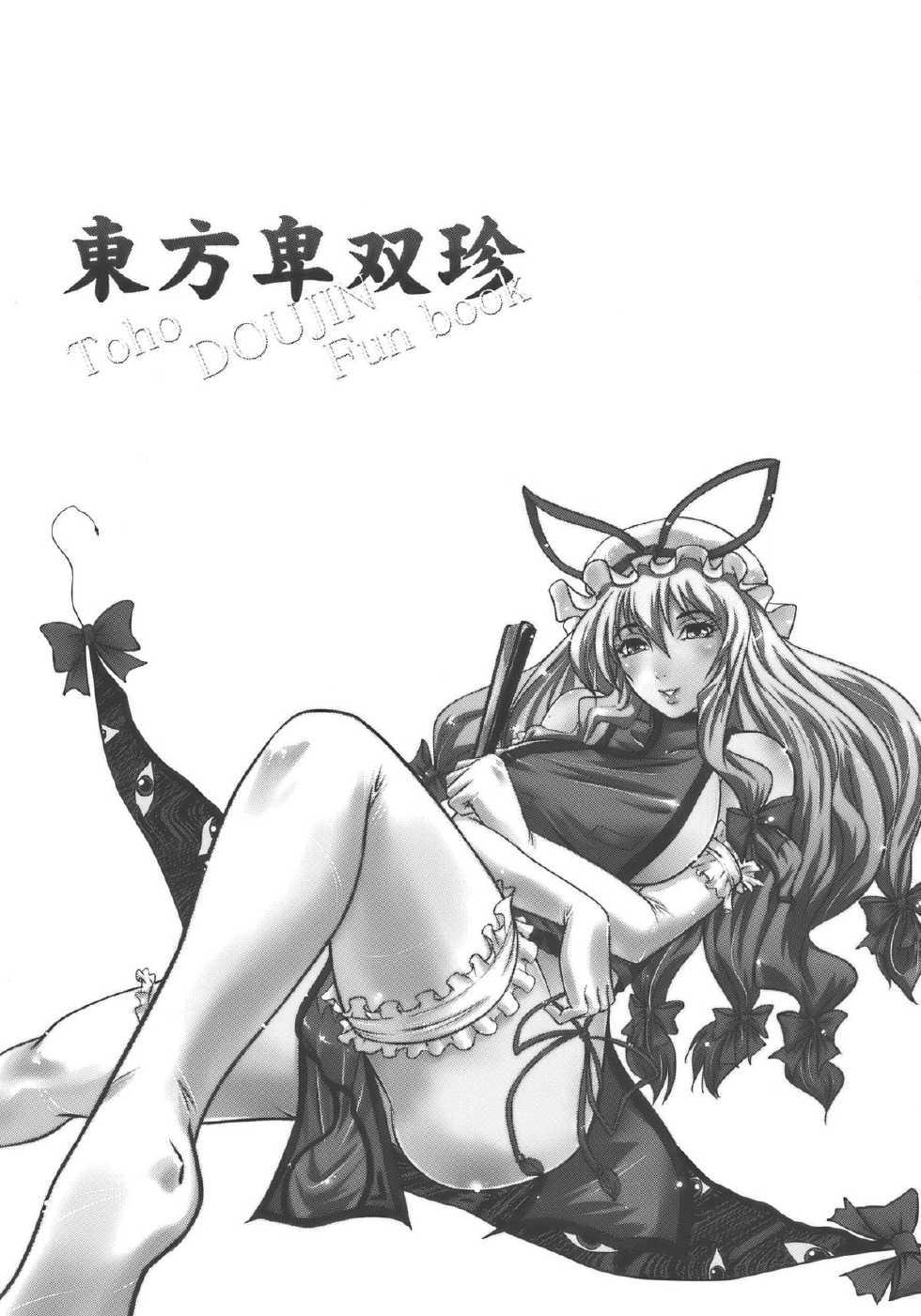 (C77) [D-heaven (Amanogami Dai)] Touhou Hisouchin (Touhou Project) [Vietnamese Tiếng Việt] [Buz Trans Group] - Page 3