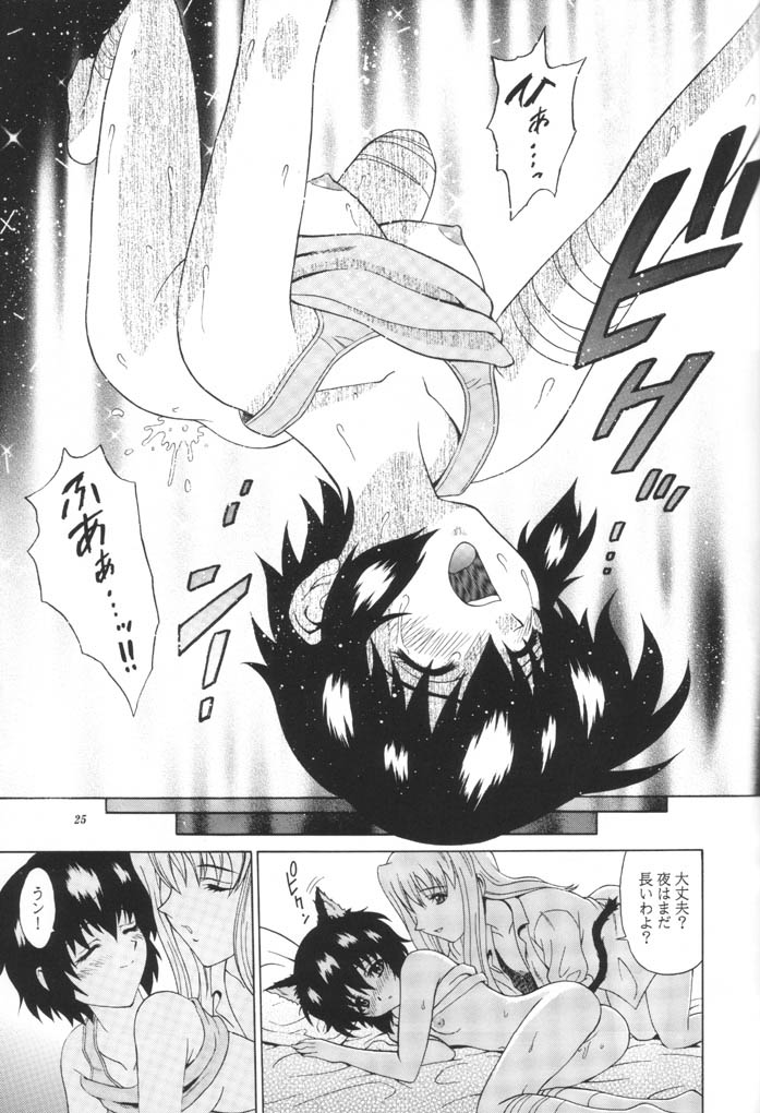 (C61) [GUST (Harukaze Soyogu)] Kuronekotachi no Kyouen La banquet de Chat Noir (Noir) - Page 24