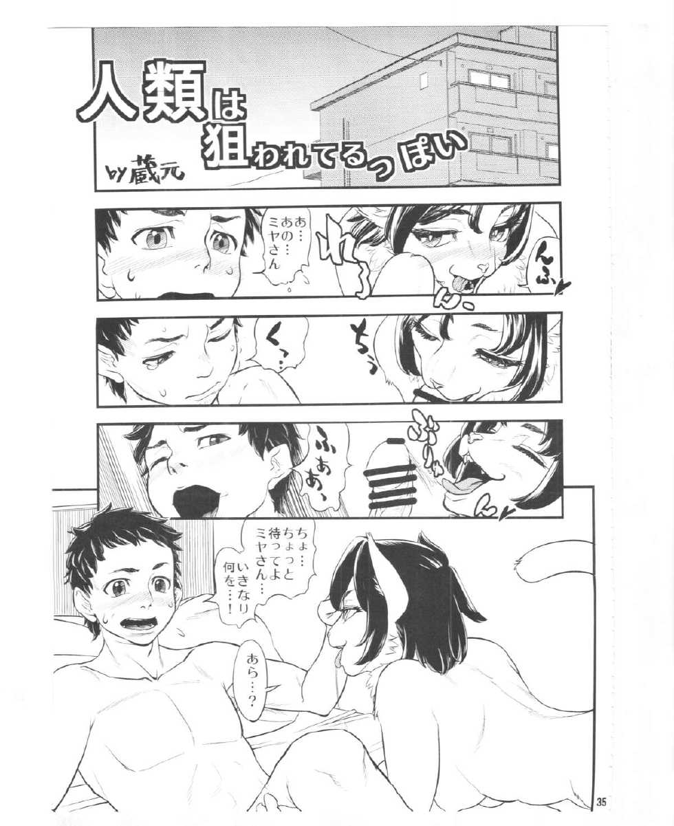 (C87) [Mayoineko (Various)] Kemokko Lovers 5 - Page 33
