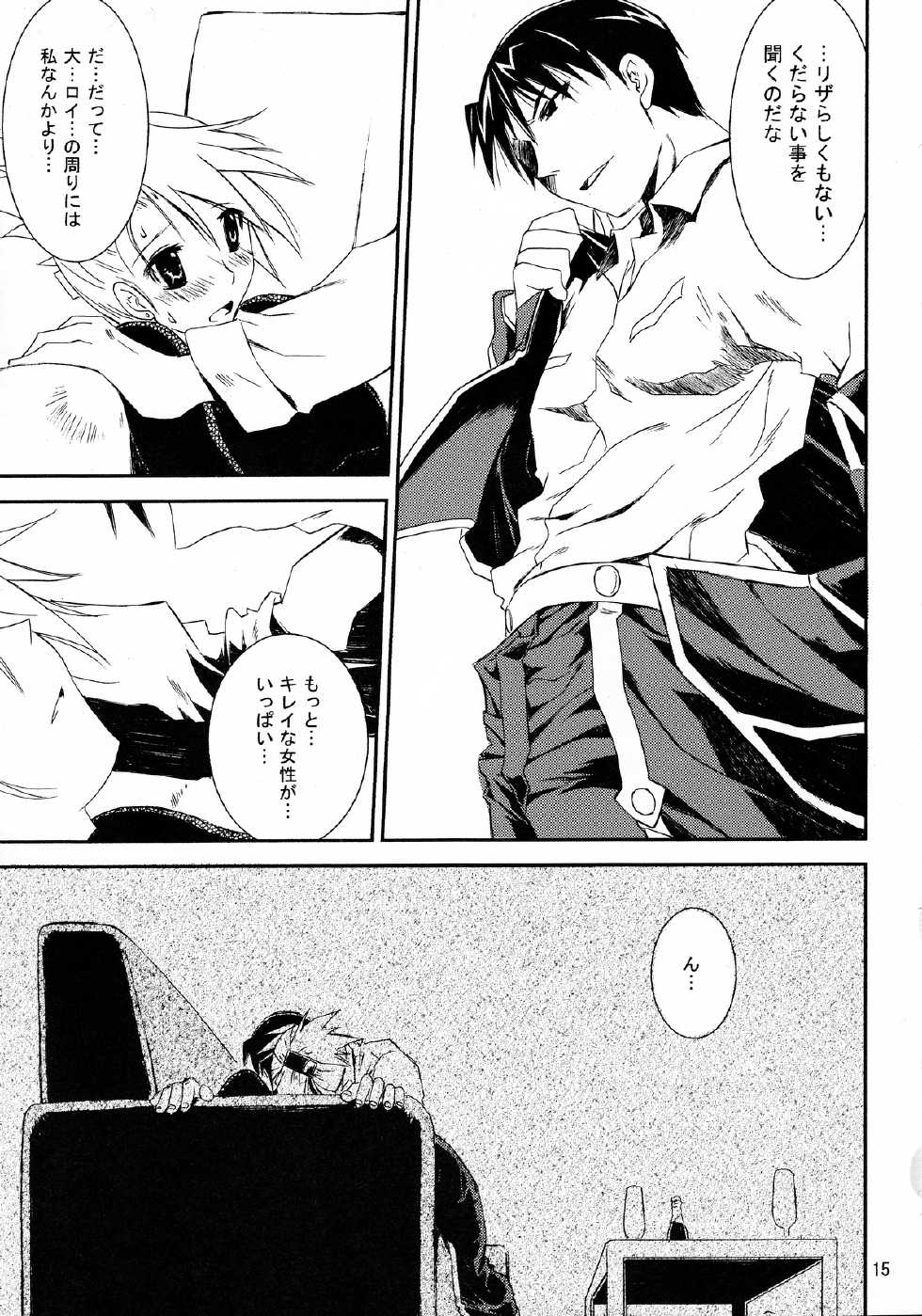 (C77) [Nansyu-Koubow (ID-ED)] Kann-ro 20 (Fullmetal Alchemist) - Page 14