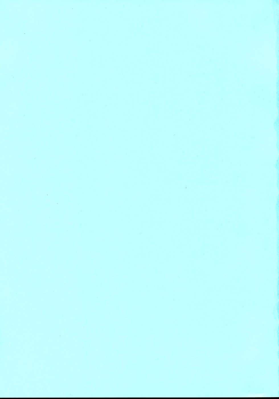 (Kouroumu 4) [Kinkyuu Kaihi (EST)] Ano Hito to Kakawaru no wa Yameyou (Touhou Project) - Page 2