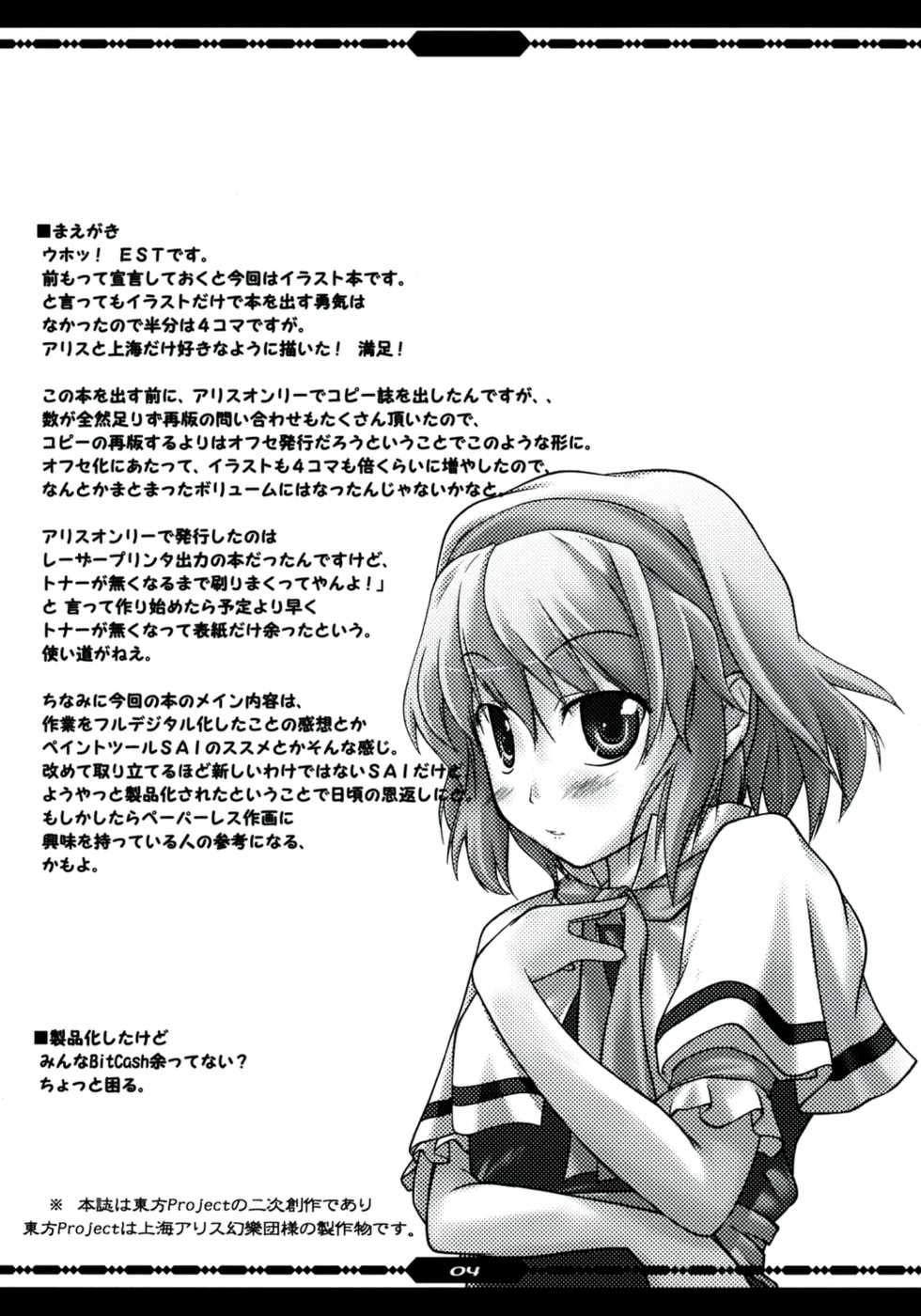 [Kinkyuu Kaihi (EST)] Touhou Netsu Shanghai N1-gata (Touhou Project) - Page 4