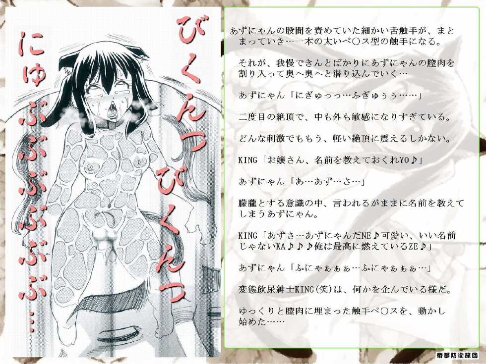 [Teito Bouei Ryodan] RTKBOOK 10-1 K-on! Ijiri (1) Nekomimi Nyan no Nouken Nikki - Page 29