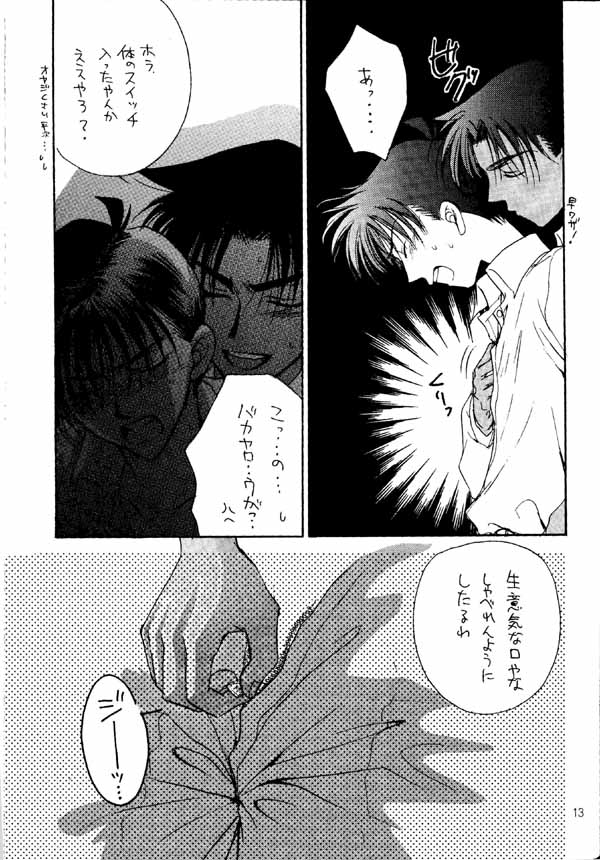 [Zaougumi (Zaou Taishi)] Wonder Pack (Detective Conan) - Page 12