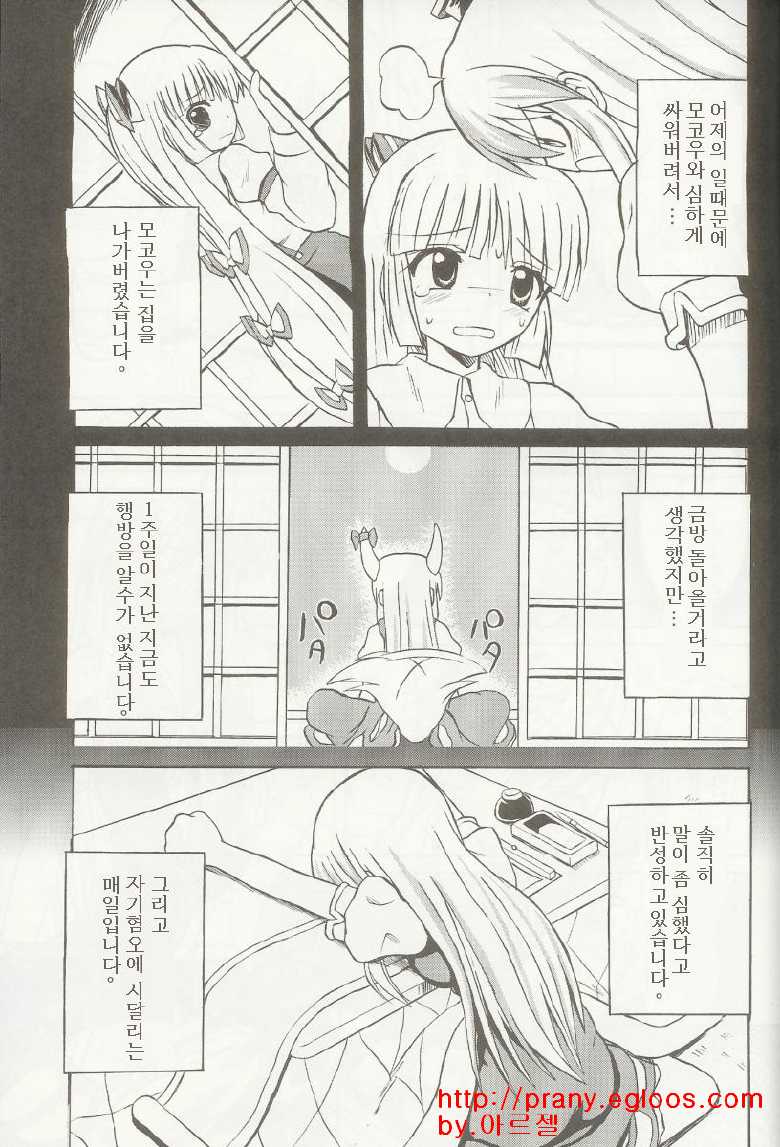 (C69) [Takakuya (Takaku Toshihiko)] Touhou Youjo Ranbu 5 (Touhou Project) [Korean] - Page 14