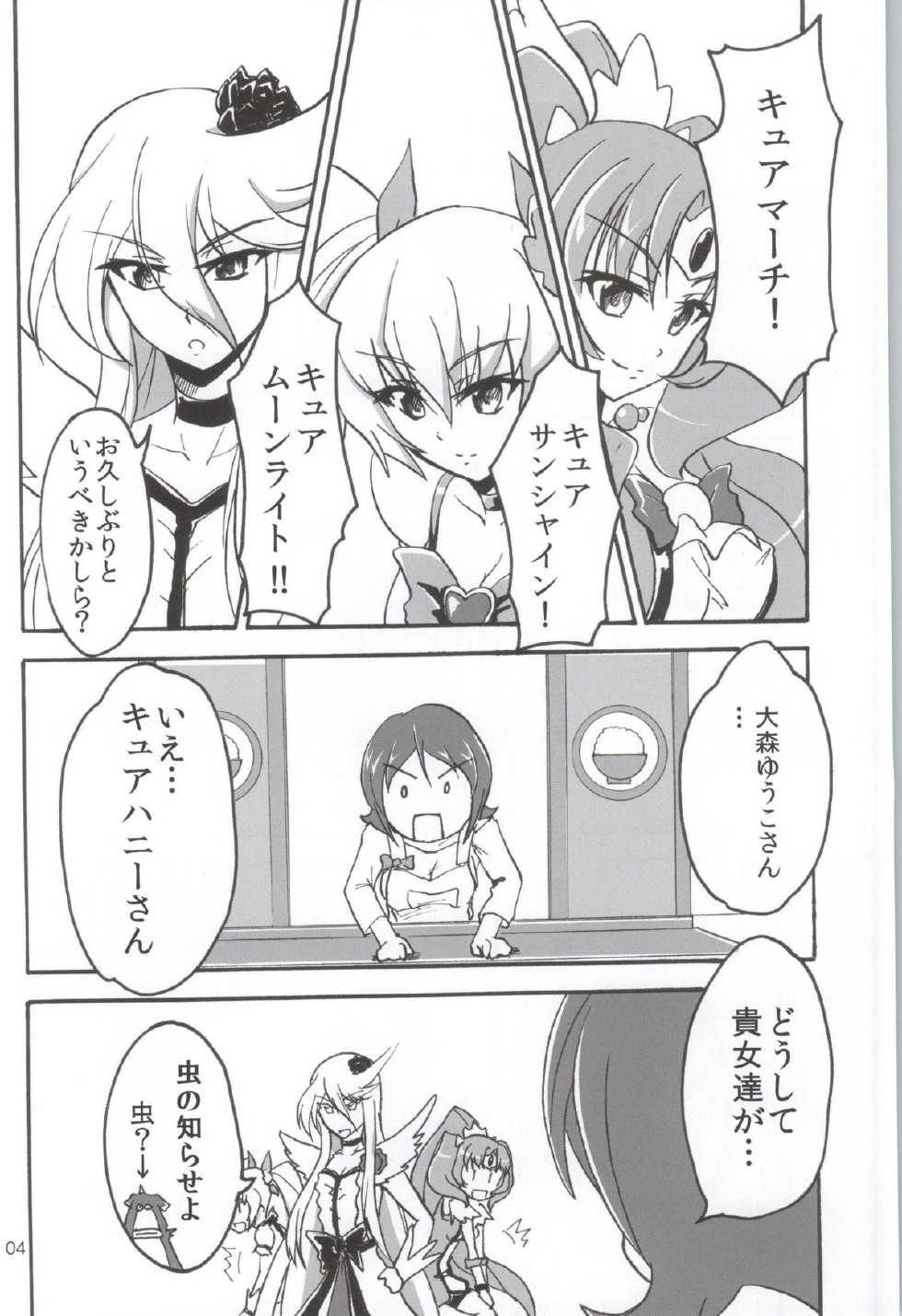 (CT24) [Namayatsuhashi (Tamo)] Nama Honey (HappinessCharge Precure!) - Page 3
