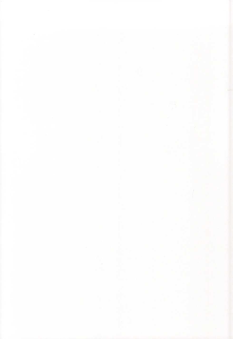 (C86) [ROUND SALE TABLE (ROUND SALE TABLE)] Ransel Est no Otona-you 2014 (Bladedance of Elementalers) - Page 14