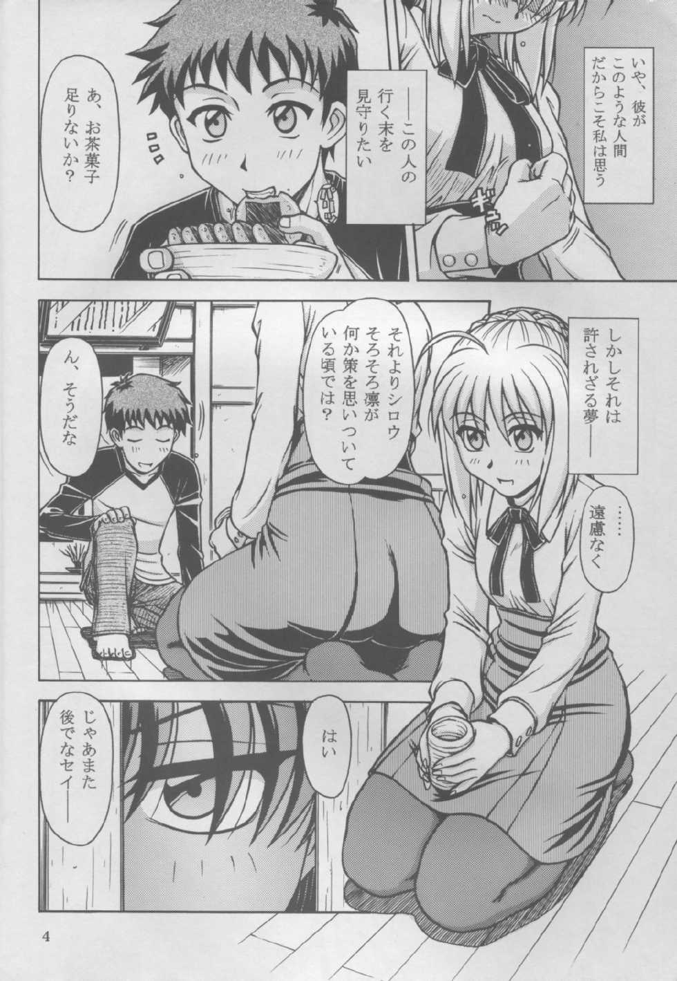 (C69) [TEYAN-DAY (Ohkaneda Hirota, Hagane Tetsu)] Gekkan Mapodon 1 Gatsugou (Fate/stay night) - Page 4