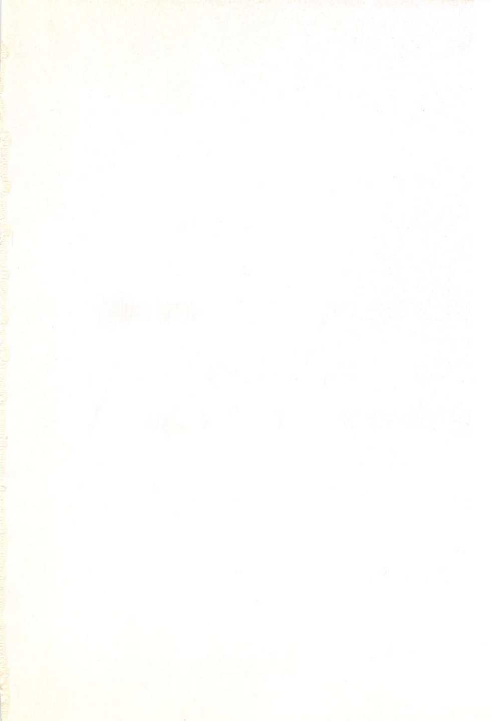 (C35) [Secret Society M (Kitahara Aki)] ANICE - Toki no Hanataba (Sonic Soldier Borgman) - Page 2