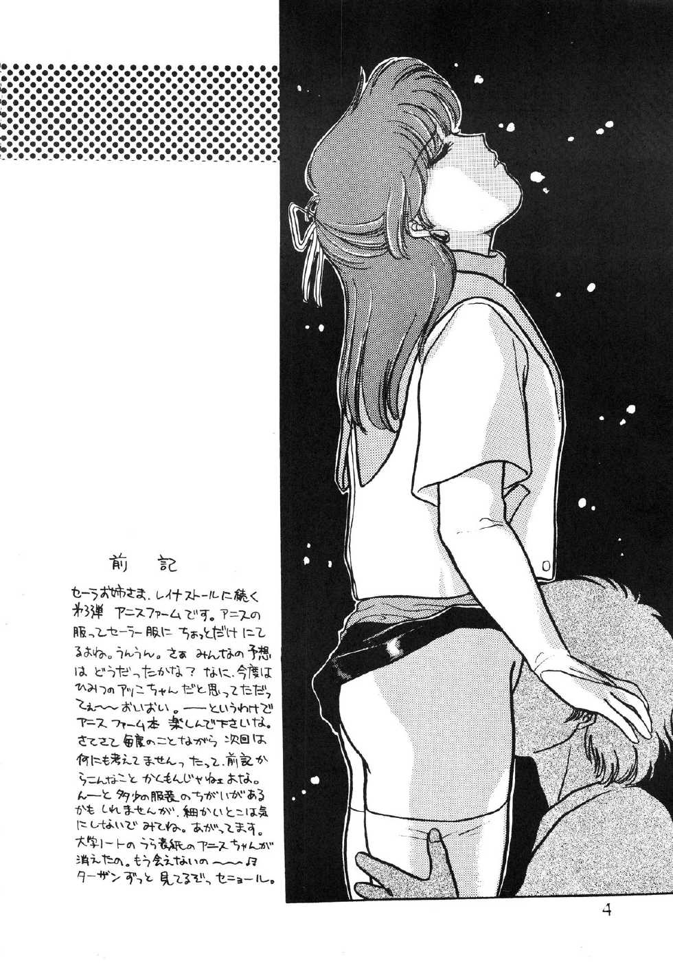(C35) [Secret Society M (Kitahara Aki)] ANICE - Toki no Hanataba (Sonic Soldier Borgman) - Page 4