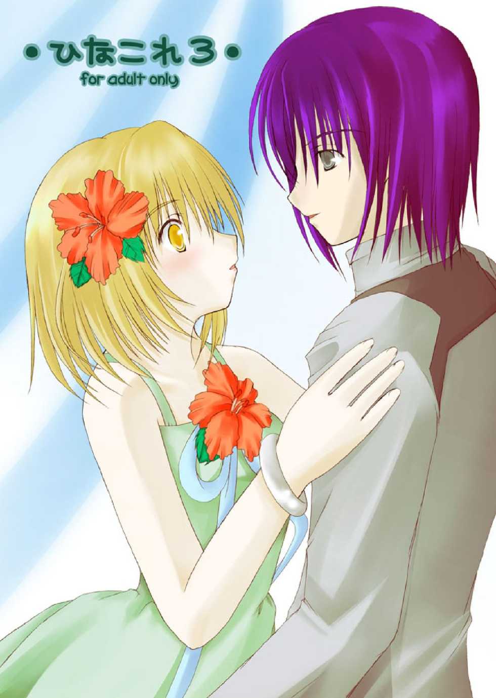 [Hanakairou]  Hanakairo Nijisousaku Comics - Dai 2-kan “Hina Kore Hina Kore 3 Gappei-gou”  (GUNDAM SEED DESTINY) [Digital] - Page 10