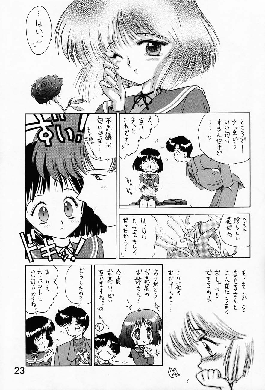 (C51) [BLACK DOG (Kuroinu Juu)] SUBMISSION SATURN (Bishoujo Senshi Sailor Moon) - Page 22