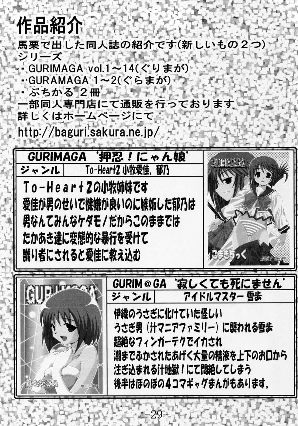 (C71) [Baguri Sangyou (Akichin)] GURIMAGA`Tsundori' (Mahou Sensei Negima!) - Page 28