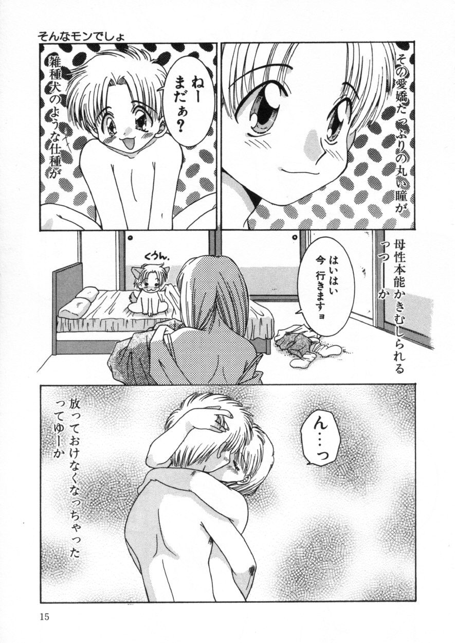 [Fujioka Tamae] Kaitenshiki Kairaku Show - Page 15