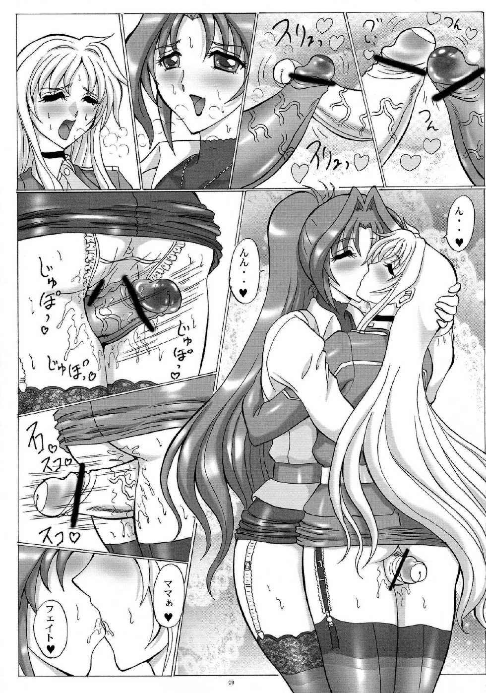 (C87) [Yomosue Doukoukai (Gesho Ichirou)] LYRICAL CENTURY STRIKERS 3 (Mahou Shoujo Lyrical Nanoha) - Page 9