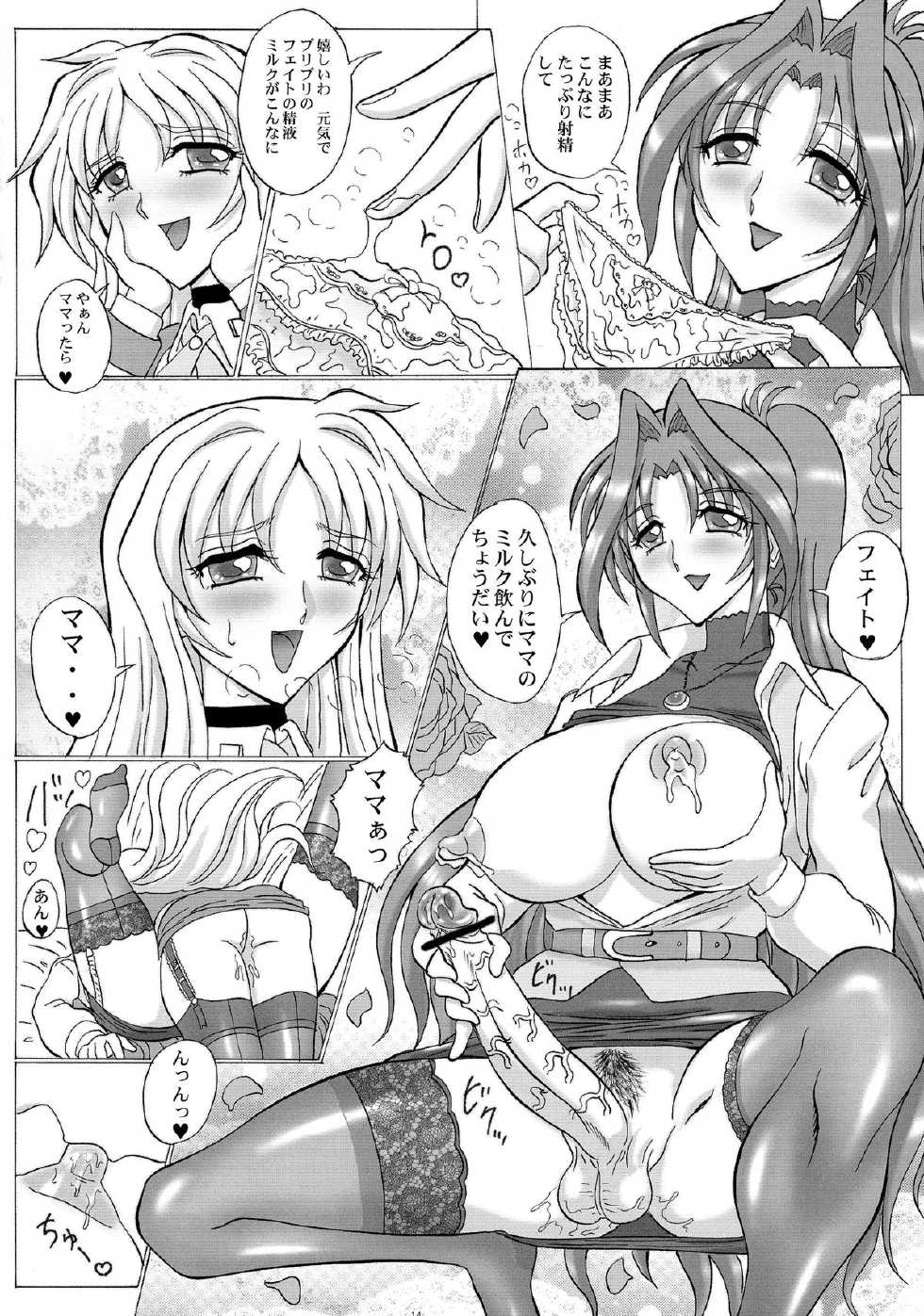 (C87) [Yomosue Doukoukai (Gesho Ichirou)] LYRICAL CENTURY STRIKERS 3 (Mahou Shoujo Lyrical Nanoha) - Page 14