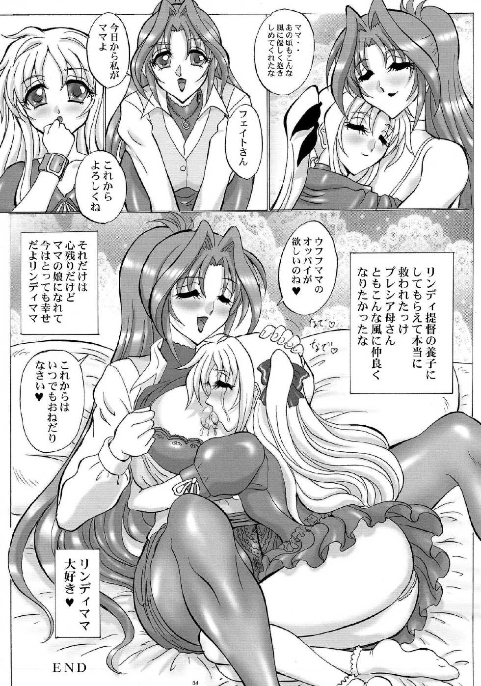 (C87) [Yomosue Doukoukai (Gesho Ichirou)] LYRICAL CENTURY STRIKERS 3 (Mahou Shoujo Lyrical Nanoha) - Page 34