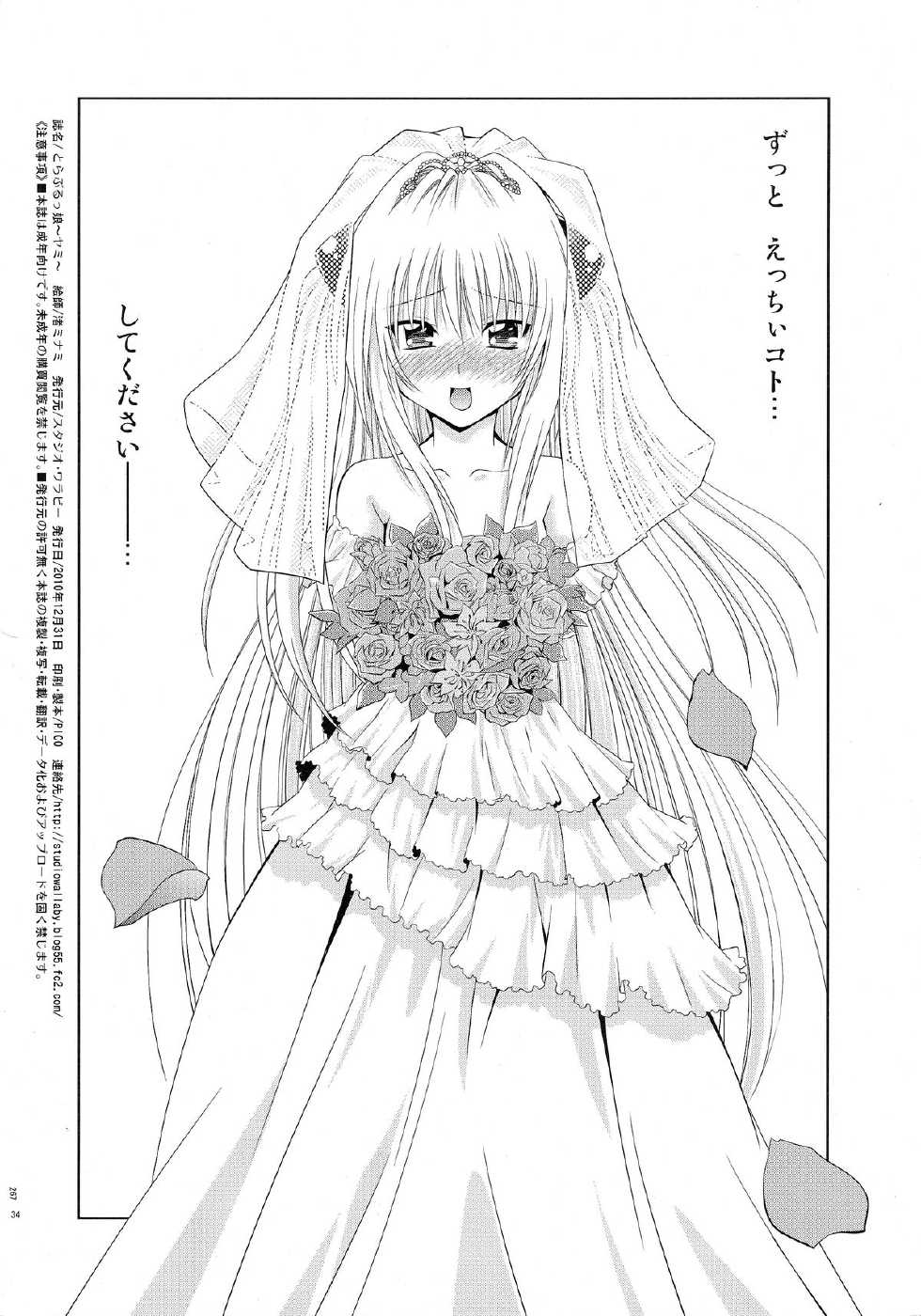 (C79) [Studio Wallaby (Nagisa Minami)] Troublekko ~Yami~  (To LOVE-Ru) - Page 33