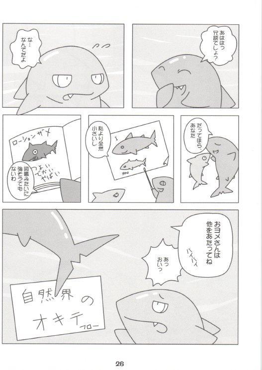 (C76) [Dragon Life (Various)] LotioN ShARk - Page 25