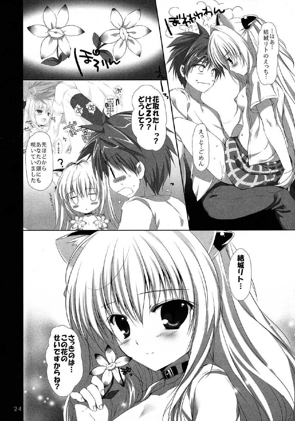 (C84) [PINK CHUCHU (Mikeou)] Hanasaki Otome (To LOVE-Ru) - Page 24