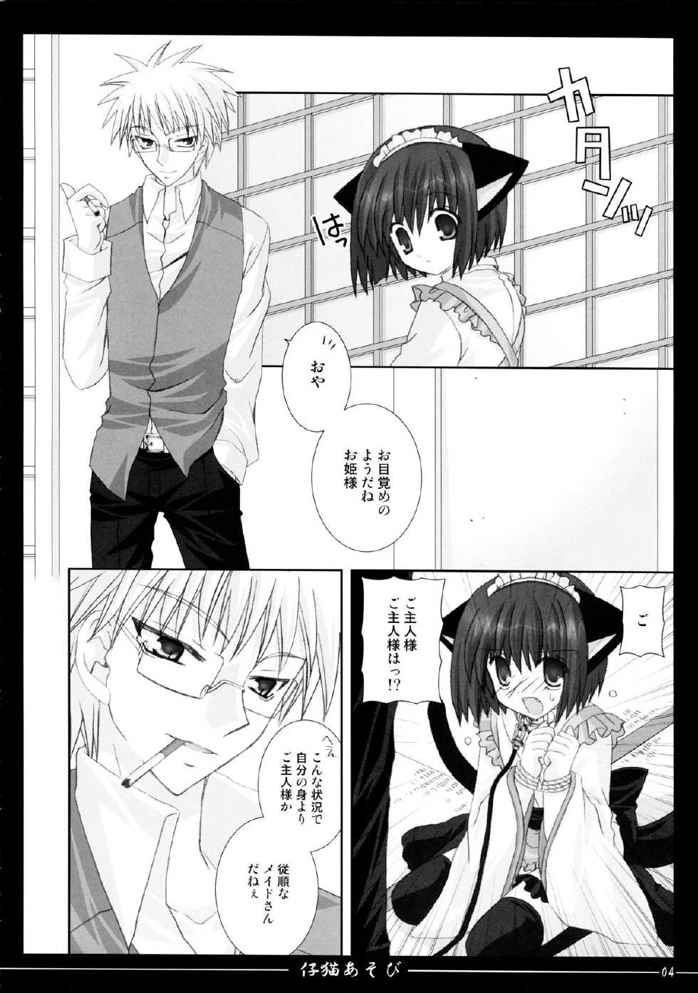 (C72) [Neko Kinryouku (NekoNeko)] Koneko Asobi - Page 4