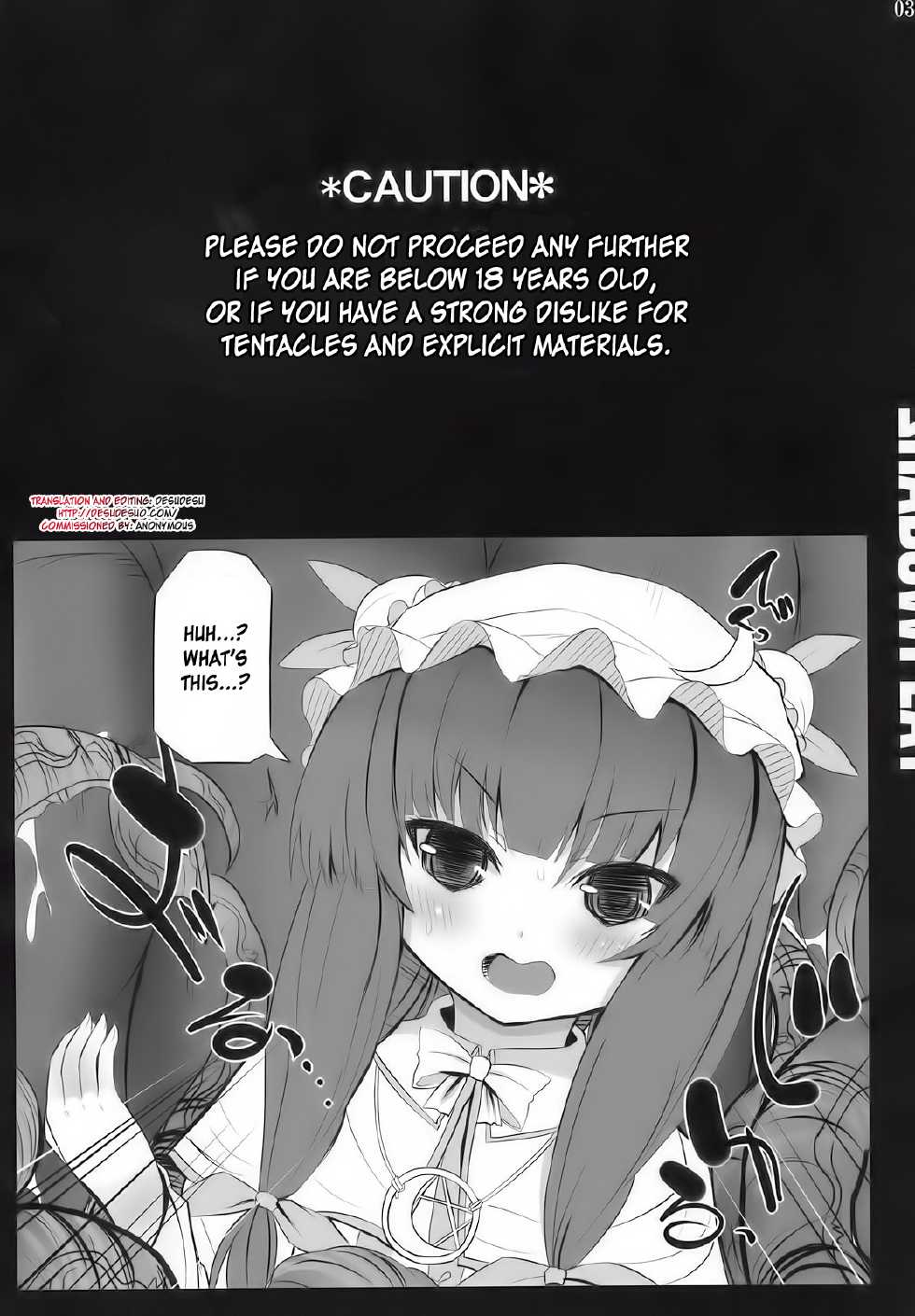 (C77) [INST (interstellar)] SHADOWPLAY (Touhou Project) [Spanish] [Biblioteca Hentai] - Page 3