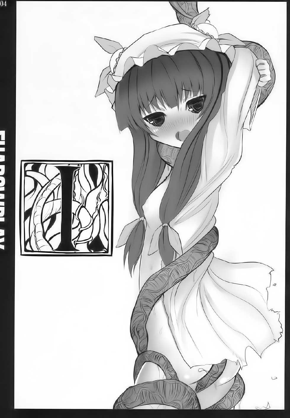 (C77) [INST (interstellar)] SHADOWPLAY (Touhou Project) [Spanish] [Biblioteca Hentai] - Page 4