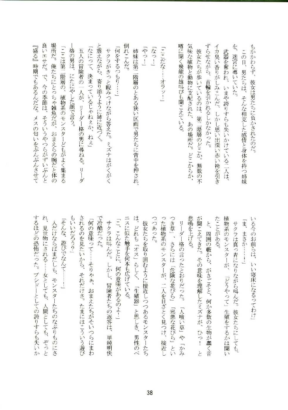 (SC36) [(Yuu) Adashino Suisan (Isshi Taira)] 14 Gurui (Etrian Odyssey) - Page 38