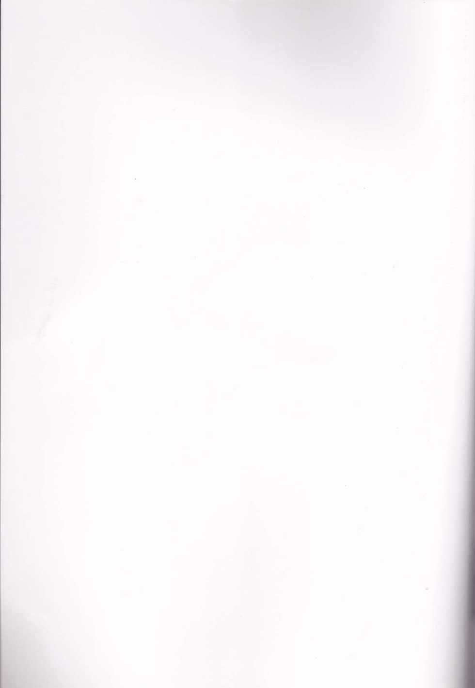 (SC37) [chigo dou (Yamaguchi Ugou)] Phantom Impulse (Mahou Shoujo Lyrical Nanoha) - Page 2