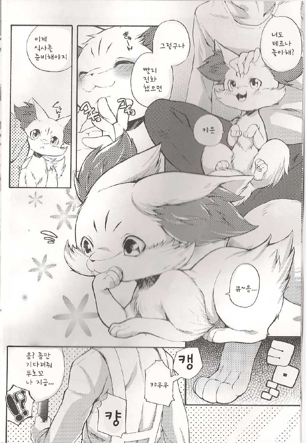 (C86) [Dogear (Inumimi Moeta)] Roman de Renart 2 (Pokémon X and Y) [Korean] - Page 33