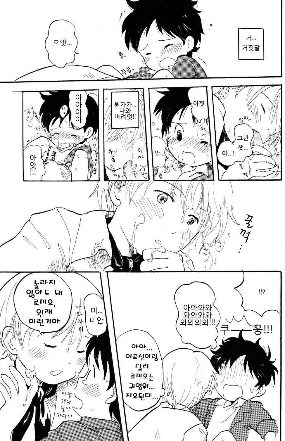 [Nyan Nyan Nyan! (Ogawa Hidari)] Shota Romi! (Romeo's Blue Skies) [Korean] [A.O.S.] - Page 11