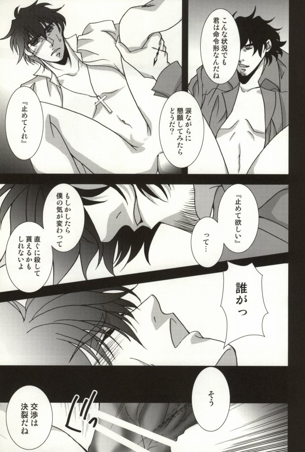 (C81) [Einsatz (snb)] The Apocalypse ~Mokushiroku~ (Fate/Zero) - Page 30
