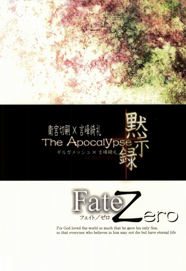 (C81) [Einsatz (snb)] The Apocalypse ~Mokushiroku~ (Fate/Zero) - Page 38