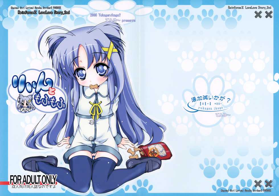 (C75) [Yukagen Ikaga? (Tenyuu)] Rein to Mofumofu (Magical Girl Lyrical Nanoha StrikerS) [Korean] - Page 1