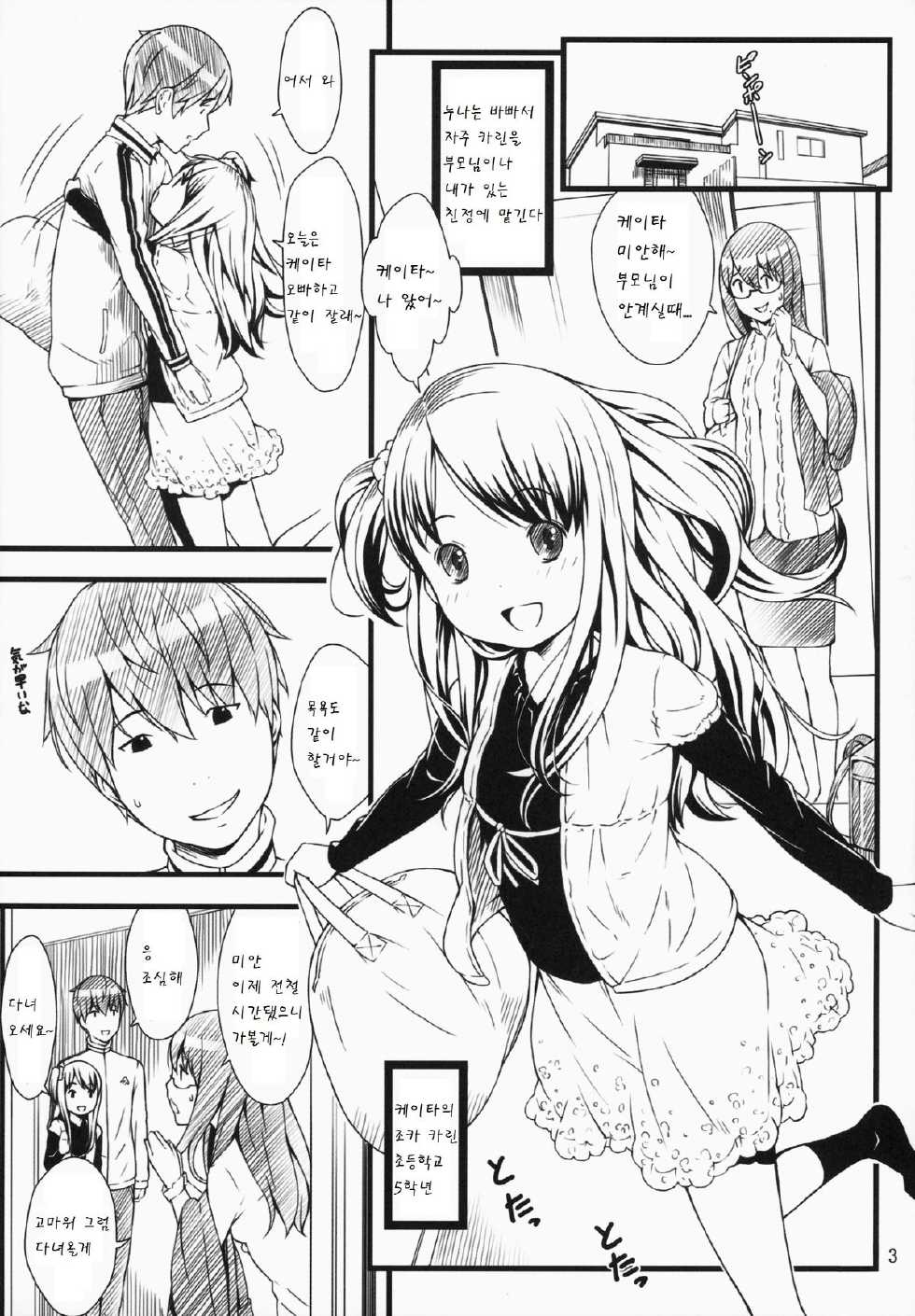 (C87) [Akatama (Sakurafubuki Nel)] Hotai! [Korean] [팀 남성부] - Page 3