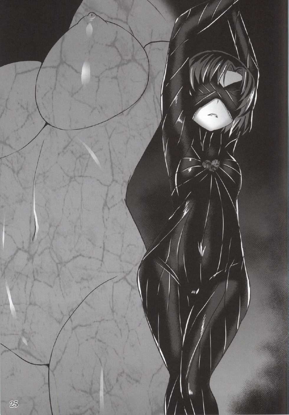 (C87) [Daraku Jiko Chousa Iinkai (Various)] Suisei Osen 2 (Bishoujo Senshi Sailor Moon) - Page 23