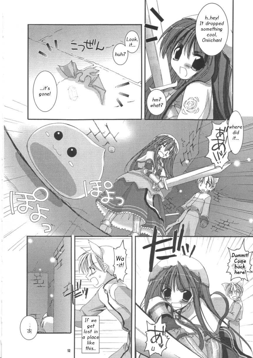 (C63) [Digital Lover (Nakajima Yuka)] D.L. action 16 (Ragnarok Online) [English] [Himeyasha] - Page 12