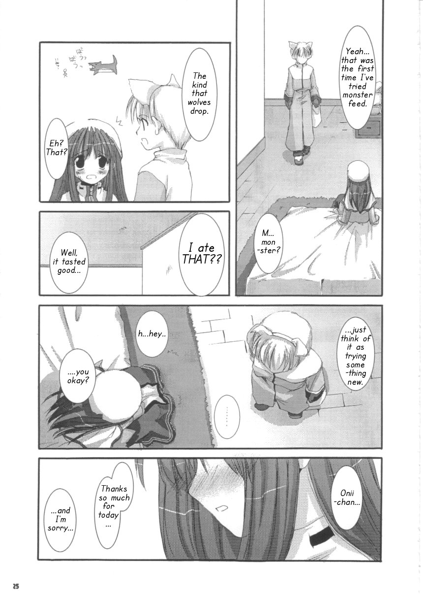 (C63) [Digital Lover (Nakajima Yuka)] D.L. action 16 (Ragnarok Online) [English] [Himeyasha] - Page 25