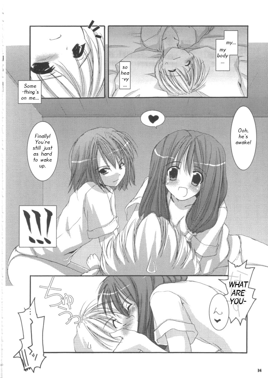 (C63) [Digital Lover (Nakajima Yuka)] D.L. action 16 (Ragnarok Online) [English] [Himeyasha] - Page 34