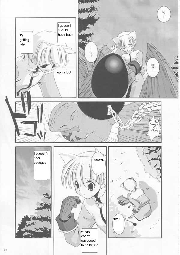 (CR33) [Digital Lover (Nakajima Yuka)] D.L.action 17 (Ragnarok Online) [English] - Page 25