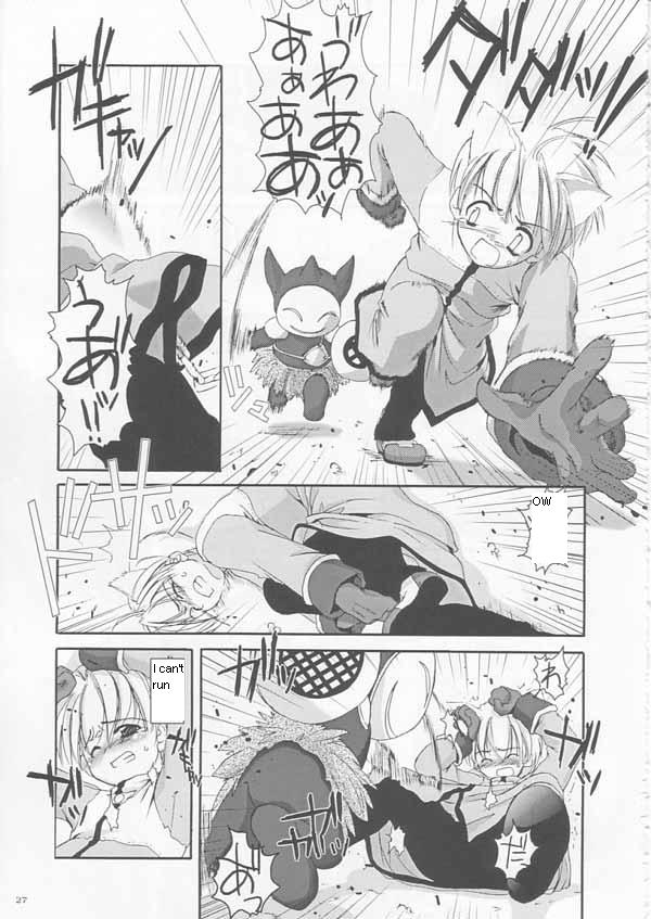 (CR33) [Digital Lover (Nakajima Yuka)] D.L.action 17 (Ragnarok Online) [English] - Page 27