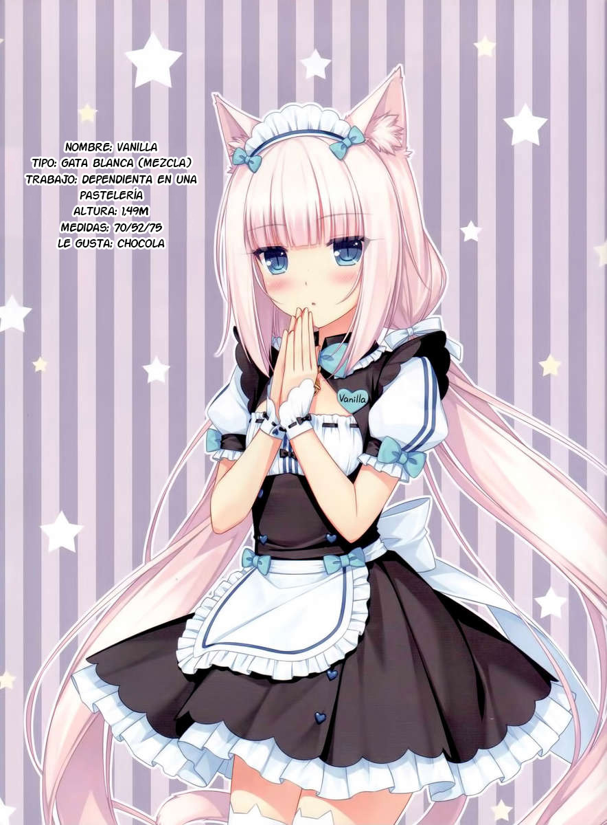 (C84) [NEKO WORKs (Sayori)] Neko Para 01 [Spanish] {Cloudusito no Fansub} - Page 12