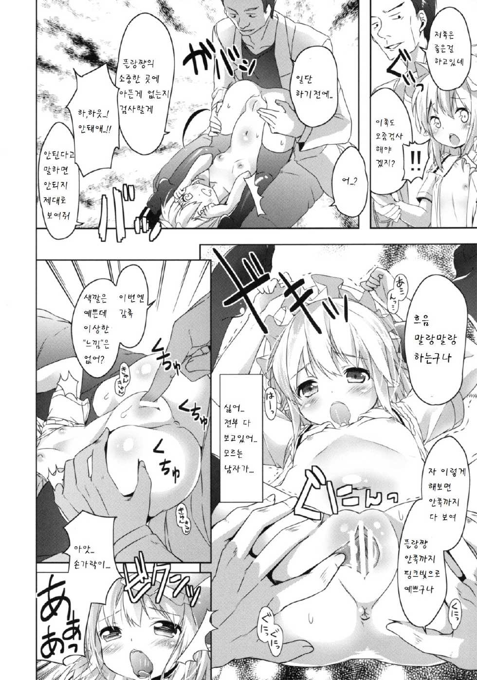 [Kaname (Siina Yuuki)] Sakuya no! Datsu!! Hikikomori Keikaku (Touhou Project) [Korean] [팀 남성부] [Digital] - Page 11