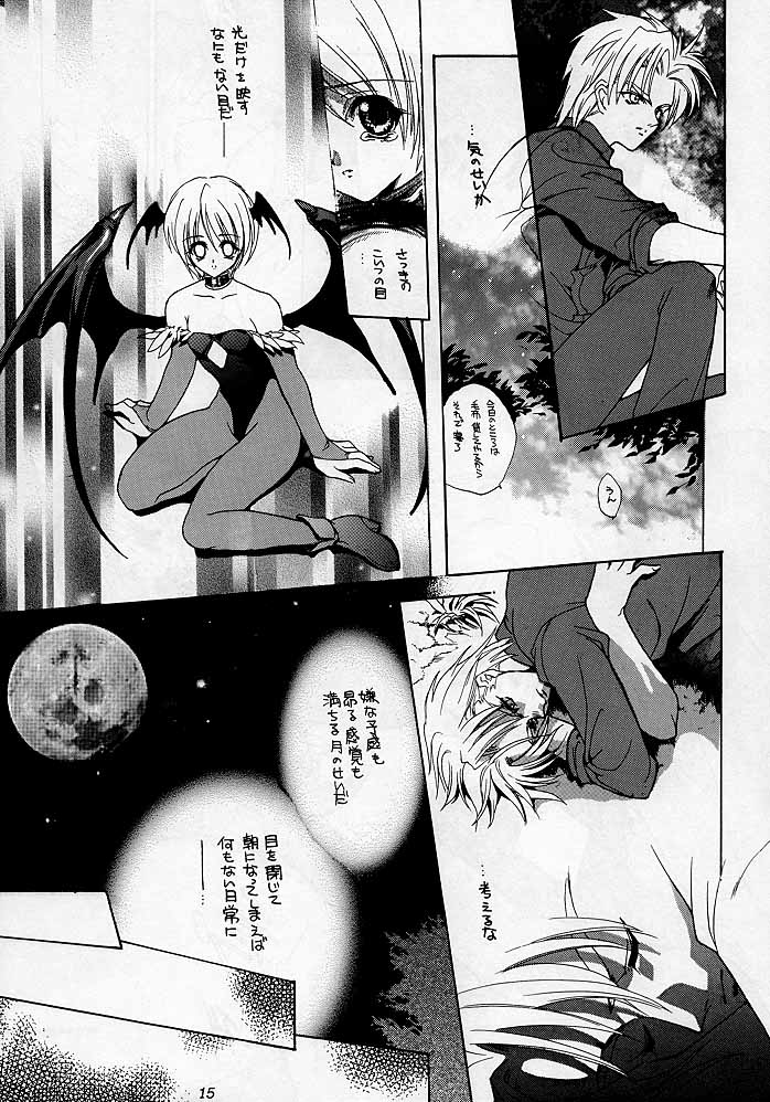 [Hanzai Tengoku (Hasei Agana)] Shinshoku (Darkstalkers) - Page 14