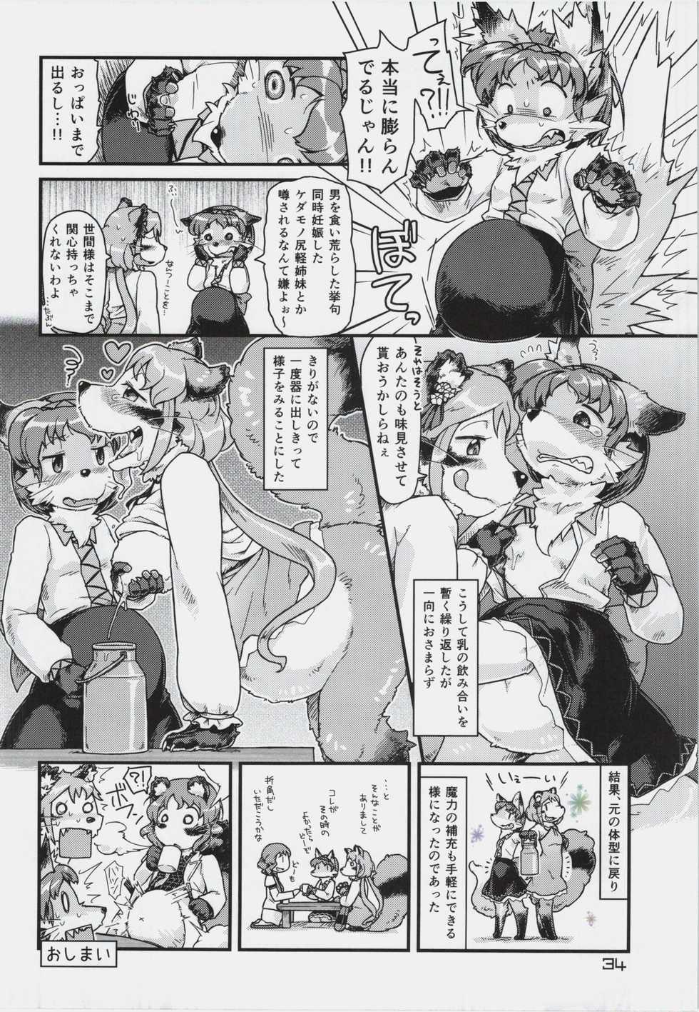 (Reitaisai 11) [Kitsunenomori (Various)] Touhou PLUMFUR 3 (Touhou Project) - Page 34