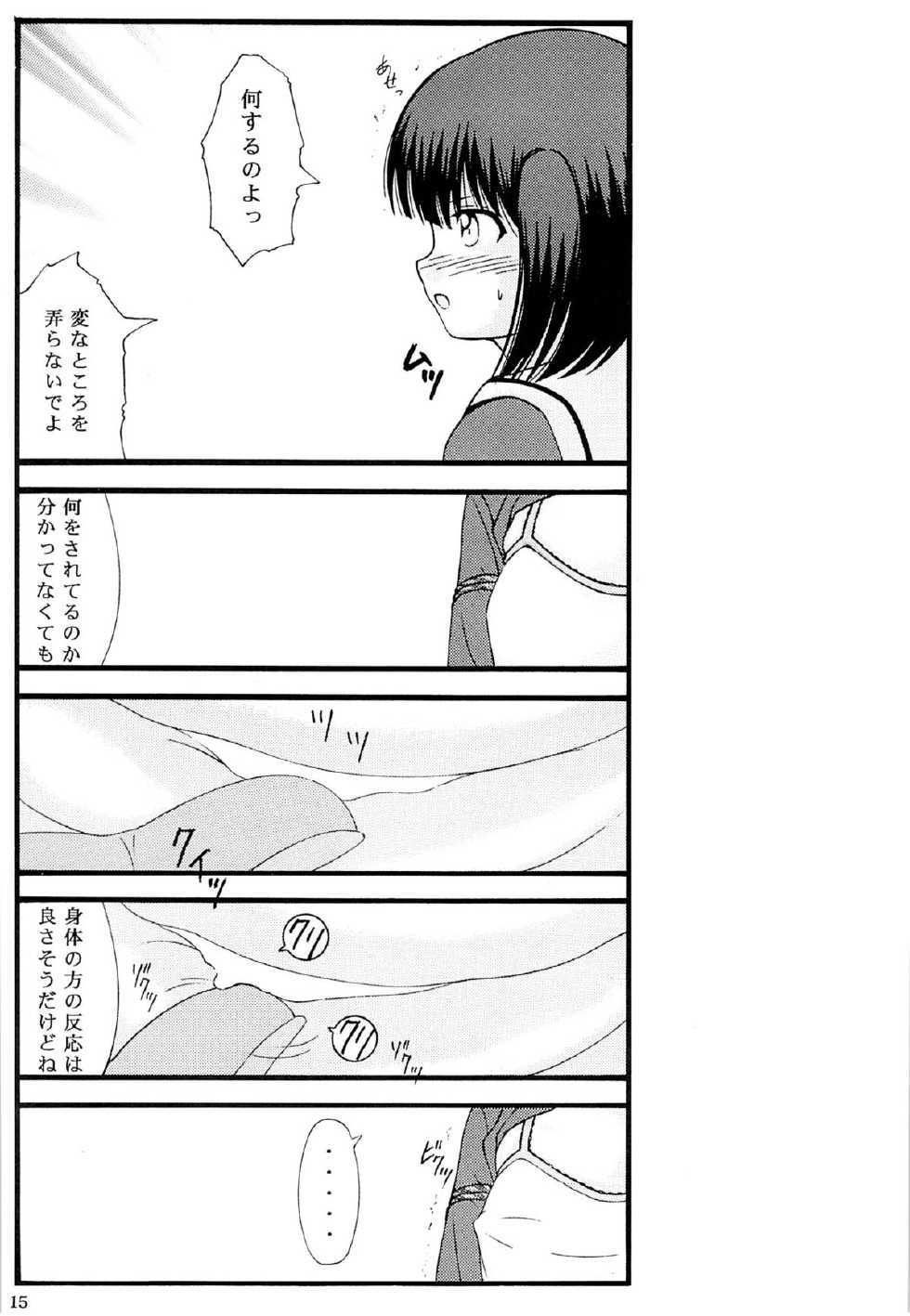 (SC2015 Winter) [Atarashiki(21)] Chuubou Kankin Graph (Gourmet Girl Graffiti) - Page 13