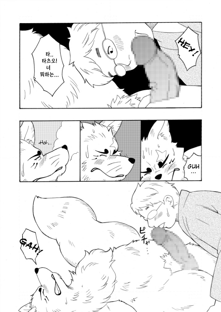 [Bear Tail (Chobi)] Shinshi (Gingitsune) [Korean] [Digital] - Page 11